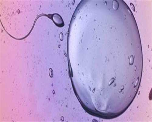 甘肃试管做的医院