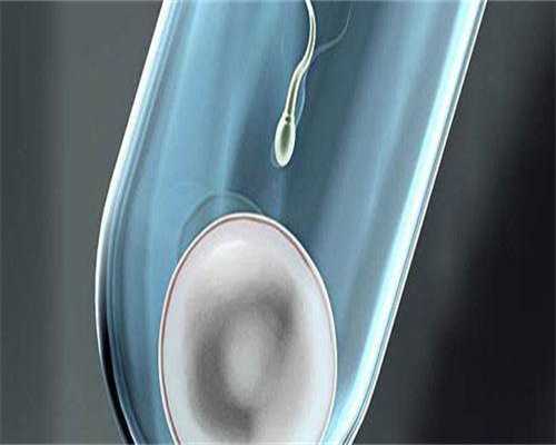 正规代怀费用:怀孕9周胎停是怎么回事？