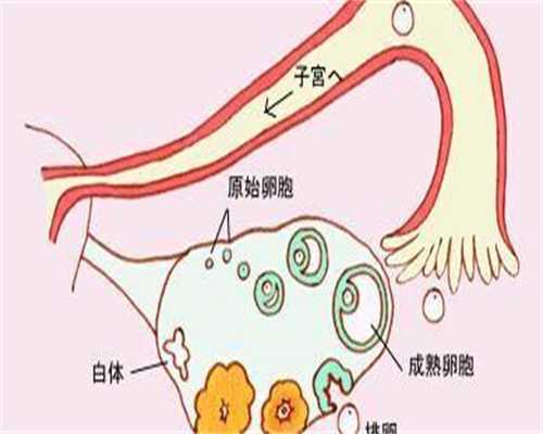 代孕试管供卵,
              D5囊胚级别4cb不如D3冻胚移植成功率高吗？
           